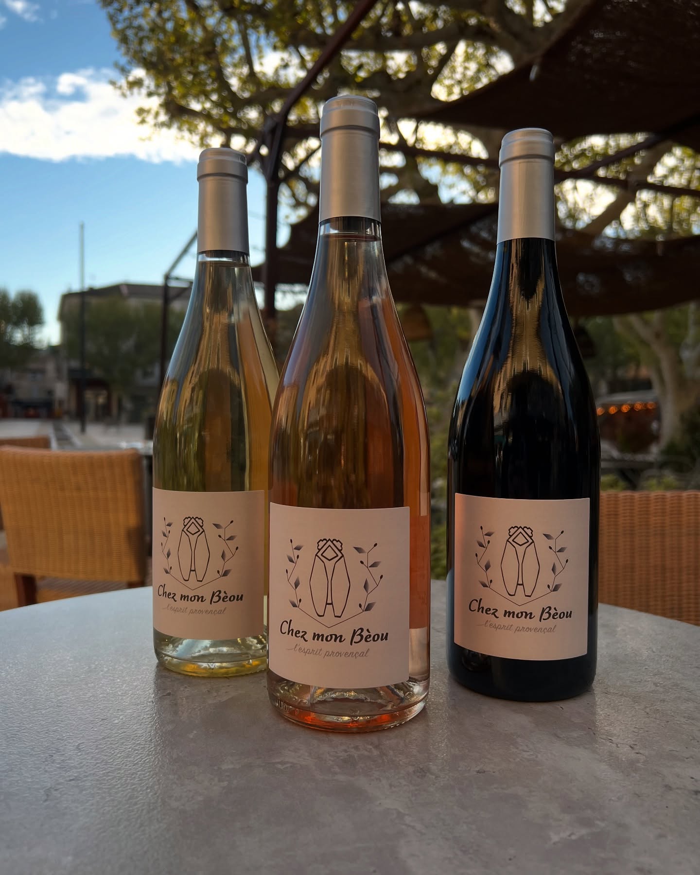 Vins maison Chez mon Bèou